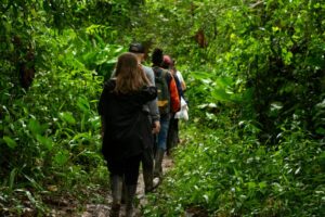 pexels-alejandro-om-65594318-11099349 pexels-alejandro-om-65594318-11099349